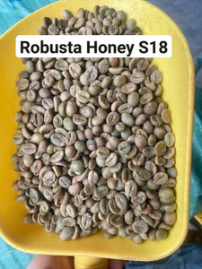 Granos de Café Robusta Verdes Premium, Procesados con Miel, Alto Contenido de Cafeína, Grado S18 AA, para Tostadores Comerciales y Especializados - Product Image 2