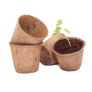 Pots en fibre de coco de qualité supérieure, prix direct producteur, pour semis et plantes. - Product Image 2