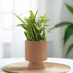 Maceta de Cerámica con Pedestal Acanalado, Acabado Mate Terracota, Duradera, para Plantas de Interior, Decoración Moderna para el Hogar - Product Image 1