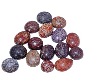 Mélange d'os de dinosaure Forme Taille libre Cabochon lisse Pierre de cristal de qualité supérieure Os de dinosaure Pierres précieuses Meilleure qualité Produit fin - Product Image 1