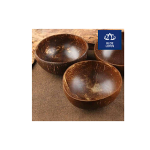 Bol en Coque de Noix de Coco Écologique de Qualité Supérieure, Sûr et Propre, Idéal pour Servir des Smoothies et des Açaï – Fournisseur - Product Image 1