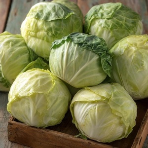Repollo Verde Orgánico Fresco de Alta Calidad, Certificado HACCP, Marca SPRING, Precio de Exportación, en Venta - Product Image 5