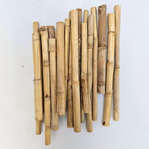 Varas de bambú para banderas, precio económico, material natural, excelente calidad, varas de caña sostenibles - Product Image 1