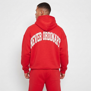 Winter Hooded Baggy Embroidery Sweat <b>Shorts</b> & Hoodie Set 500gsm Fleece Heavy Cotton Polyester Eco-Friendly Windproof Two Piece - Product Image 2