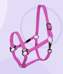 ROYAL INTRNATIONAL - Cabestro para Caballo de Nailon PP de Primera Calidad, con Detalles en Cuero Duradero |   Todos los tamaños disponibles |   Equitación - Product Image 1