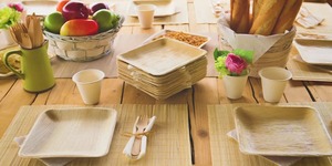 Sustainable Compostable Palm Leaf <b>Disposable</b> Square <b>Plates</b> for Camping Restaurant or Home Use - Product Image 4