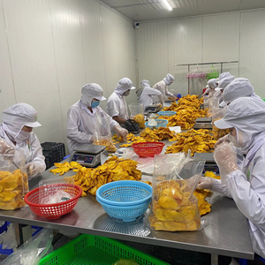 Semi Dried Moist Mango Chunks | Exotic Tropical Fruit <b>Sweet</b> & <b>Sour</b> Hot & <b>Sweet</b> Chili Salted - Product Image 1