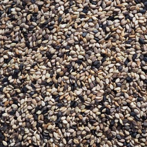 Graines de sésame blanches décortiquées de qualité supérieure, offertes aux acheteurs importateurs, avec traitement soigné, emballage en vrac, export fiable et récolte fraîche. - Product Image 4