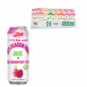 490ml Watermelon Juice Drink with Pulp OEM ODM Private Label Beverage Manufacturer - Product Image 1