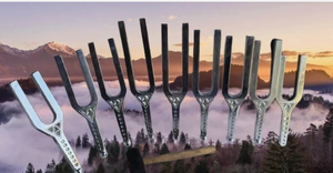Extra <b>Large</b> Dual-Frequency Giant Tuning Fork (512 Hz & 288 Hz) For Therapy & Healing.. - Product Image 6