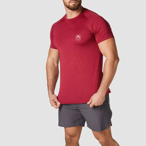 T-shirts de sport respirants et durables pour l'été, confortables, fabriqués avec les meilleurs matériaux, vente flash, t-shirt de sport pour hommes - Product Image 3