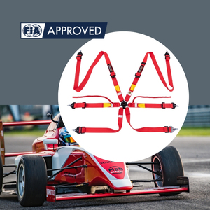 Custom Logo Motorsport Safety Belt FIA Approved 8853-2016 TBRACING OEM/ODM Brand Wholesale High Tension Webbing 6 <b>Points</b> - Product Image 3