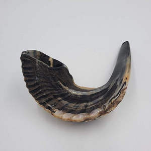 Shofar de Cuerno de Carnero de la Mejor Calidad TIMELESS CRAFT, Shofar de Cuerno Natural para Tocar y Propósitos Religiosos, Kosher - Product Image 4