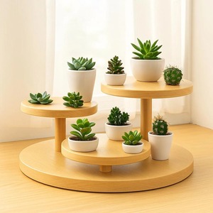 Stylish Display Organizer <b>For</b> <b>Dressing</b> <b>Tables</b> Makeup Studios Perfume And Fragrance Display Organization Purpose From India - Product Image 4
