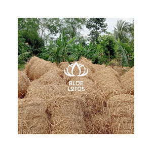 Paille de riz de qualité supérieure, matière première agricole séchée pour paillis, compostage, litière pour bétail, artisanat, emballage et exportation - Product Image 1
