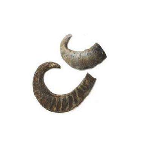 Nourriture pour chiens de haute qualité, écologique, faite à la main, en corne de buffle naturelle, durable, accessoires pour animaux de compagnie, nourriture sèche disponible - Product Image 1