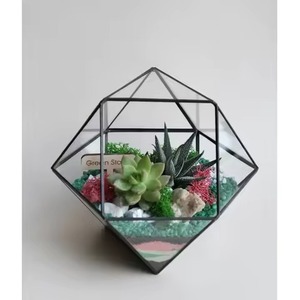 Terrario de Metal para Jardín Interior, Macetero de Vidrio Decorativo, Caja de Exhibición Elegante para el Hogar - Product Image 1