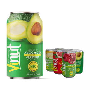 Boisson au jus de fruit Dragon Vietnam 330ml Boisson sans sucre Marque privée Prix d'usine Échantillon gratuit - Product Image 1