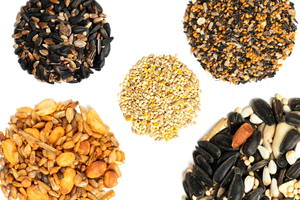 Aliment pour perroquets personnalisé OEM, mélange de graines de qualité supérieure pour oiseaux et animaux de compagnie, aliment nutritif en marque privée, vente en gros directe usine - Product Image 6