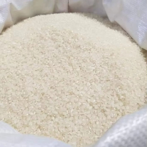 Riz Japonica Calrose Moyen Sain du Vietnam, Nouvelle Récolte Tien Giang, 5% de brisure, Séché, Riche en nutriments, Doublement poli, Doux - Product Image 1