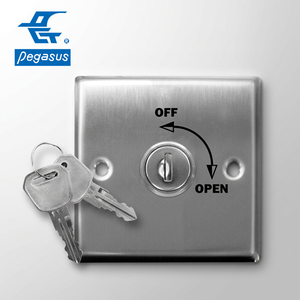 Producto de control de acceso de interruptor de llave de acero inoxidable estándar británico - Product Image 1