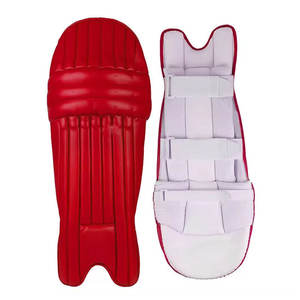 Protège-tibias de cricket légers avec une protection renforcée des genoux pour les joueurs amateurs et professionnels - Product Image 2