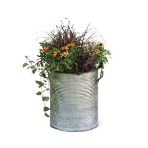 Jardinière artistique galvanisée décorative pour l'intérieur et l'extérieur, pot à fleurs en métal, décoration pour la maison et le jardin - Product Image 6