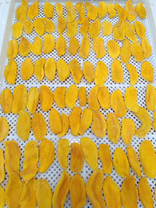Tranches de mangue séchées en vrac, sans sucre ajouté, mangue sucrée, mangue séchée non sucrée, collation, OEM, marque privée, Vietnam - Product Image 1