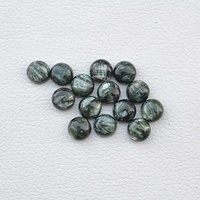 Seraphinite Verde Natural de 8mm, Cabujón Redondo Plano, Venta al por Mayor de Piedras Preciosas Sueltas, Excelente Calidad, Seraphinite de Proveedor