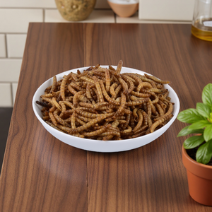 UE GMP Certified Fábrica Vende Mealworms Amarelo Seco - Product Image 4