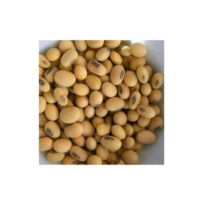 Soja de Primera Calidad, Limpia con Tecnología Sortex, 99% de Pureza, para Comercio Internacional de Productos Agrícolas - Product Image 4