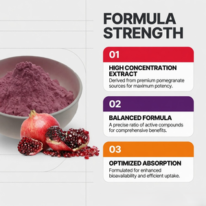 Extracto de Fruta de Granada 100% Puro de Grado Alimenticio, Certificado GMP, Empacado al Vacío en Tambor - Product Image 2