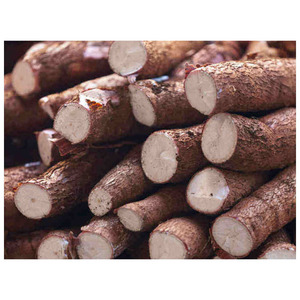 Vente de racines de manioc fraîches de nouvelle récolte, qualité supérieure - Product Image 3