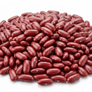 Haricots rouges de qualité supérieure / Haricots Rajma rouge vif pour emballage de détail, couleur et taille uniformes, approvisionnement en vrac, MQO 10MT, qualité export - Product Image 1