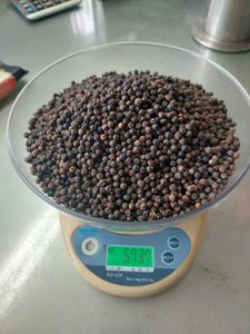 พริกไทยดำเวียดนามขายดี คุณภาพสูง เครื่องเทศรสเข้มข้น อบแห้ง ราคาส่ง - Product Image 2