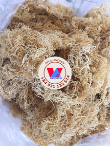 MORUE DE MER VIOLETTE SÉCHÉE EN VENTE EN GROS, À FAIBLE HUMIDITÉ, SUCCESSIONNELLE, POUR LA PRODUCTION ALIMENTAIRE, SALADES ET GELÉES - Product Image 6