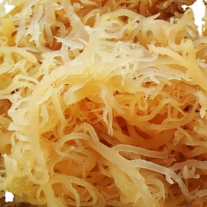 Eucheuma-mariscos orgánicos de algodón, alta calidad - Product Image 2