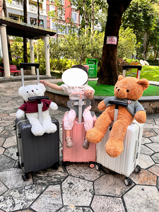 <span class=keywords><strong>Maleta</strong></span> <span class=keywords><strong>infantil</strong></span> montable de 20 pulgadas con marco de aluminio para PC, doble varilla de aluminio engrosada y bolsillo de malla en forma de U, venta al por mayor - Product Image 3