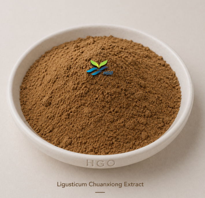 HGO Factory Direct Supply of Pure Natural Ligusticum Chuanxiong Extract (Health food Grade) Specification 10:1 (Ratio Extract)