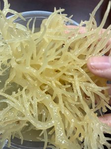 สาหร่ายทะเลแห้งแบบกําหนดเอง EUCHEUMA COTTONII เซมอสไอริชจากเวียดนามเทรซี่ - Product Image 3