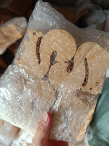 Venta al por mayor de juguetes de madera Montessori/cajas de rompecabezas de madera para regalo recuerdo fiesta escolar en casa - Product Image 6