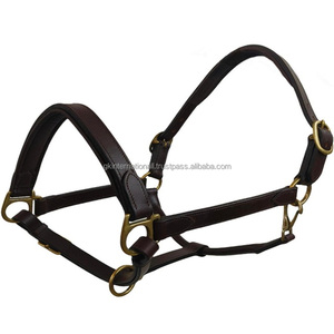 Double <b>Thick</b> Soft Padded Genine Leather Horse Halter with adjustable Crown Buckle and <b>Ring</b> Halter Horse - Product Image 3