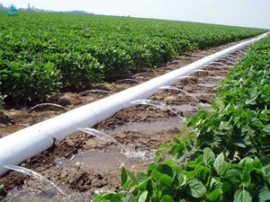 Tuyaux plats Yash de grande taille, résistants aux UV, très flexibles et légers pour l'irrigation à forte pression – Vente en gros, meilleure qualité - Product Image 6