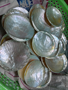 แผ่นเปลือกหอยมุกสีงาช้างและสีทองรูปวงรีสำหรับทำเครื่องประดับ-Caryln - Product Image 2