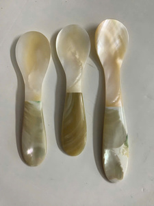 Cucharas Decorativas Vintage Hechas a Mano de Lujo con Mango de Concha de Nácar, No Tóxicas y Ecológicas, para Servir Postres en Negocios - Product Image 6