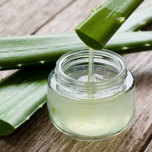 Proveedor Mayorista de Gel de Extracto de Aloe Vera Hidratante para el Cuidado de la Piel Después del Sol, Volumen a Granel - Product Image 3