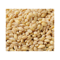 Cebada para Alimentación Animal, Natural, Orgánica, de Primera Calidad, en Bolsas de 50 Kg, Semillas de Cebada, Grano de Cereal