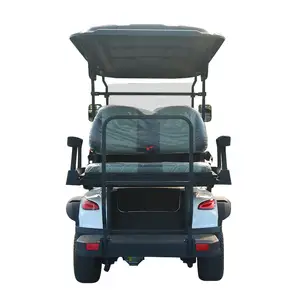 Nuevo carrito de golf eléctrico con batería de litio y motor personalizado de 5kW