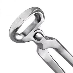 Cortauñas Veterinario para Caballos, para el Cuidado de Herraduras, Disponible en Todos los Tipos y Calidades, Herramientas de Herrador de QASIDEN INSTRUMENTS - Product Image 5