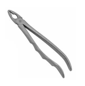 Pinzas de Extracción Manuales de Acero Inoxidable ARISTON INTERNATIONAL, Diseño Cónico Inferior Anterior, Patrón Inglés, en Venta a Bajo Precio - Product Image 4